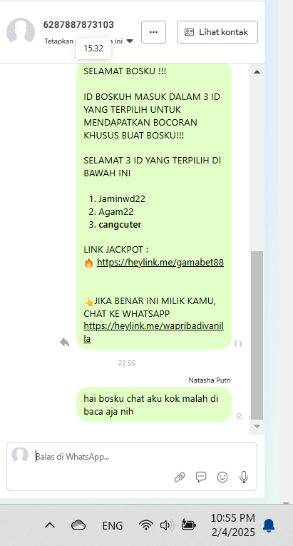 Screenshot 2025 02 04 225547.png