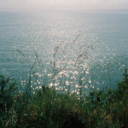 2645c5b95a92.png