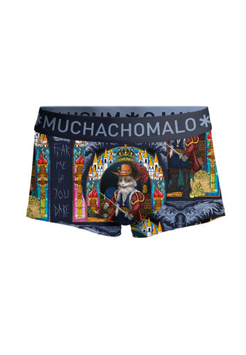 PUSSBOOTSWIZARDOZ3025 04 02.png