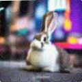 5030b13d9a6d.png