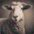 e9e4178e6657.png
