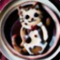 8cdcd5b39cda.png