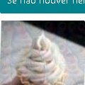 29aa5e8137f1.png