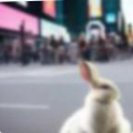79d516a17d5c.png