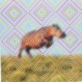 7867d4f113e5.png