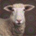 35625e4329f7.png