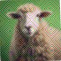 1b6fcb590833.png