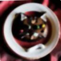 293fad94bbdf.png