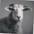 e4d77aca5b4f.png