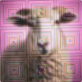 c27c0917ab0e.png