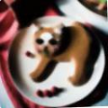 312a5464ec6b.png