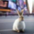 561dc562139a.png