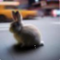 7cf992b96bbb.png