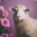 4fd86b76a241.png