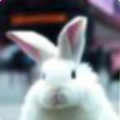 eb658ca87a5f.png