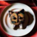 fb28d05e72d5.png