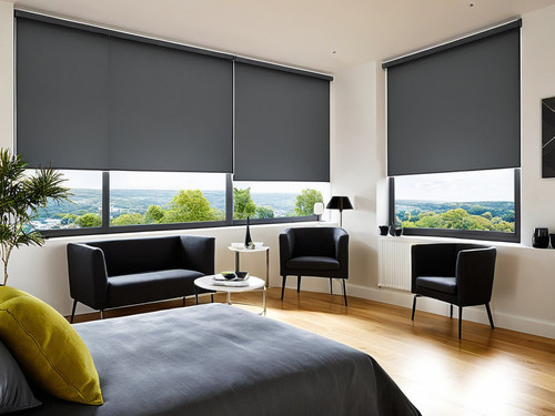 Roller Blinds Vernon.jpg