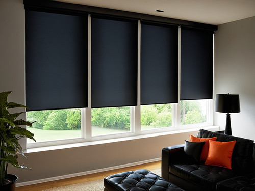 Roller Shades Vernon.jpg