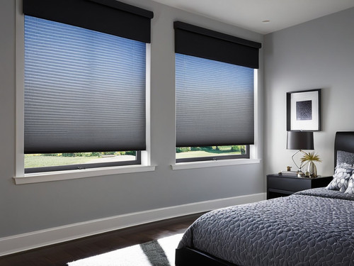 Dual Roller Shades Vernon.jpg