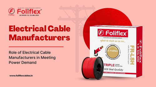 Electrical Cable Manufacturers Meet India 250 GW Power Need.jpg
