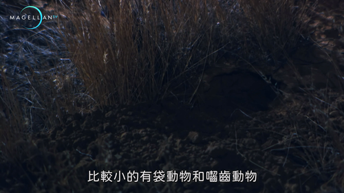 Wildest.Australia.Outback.Deserts.S01E01.2019.2160p.Hami.WEB DL.H264.AAC HHWEB.mkv 20250205 225004.4.png