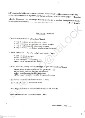 BCH313(1) 6.jpg