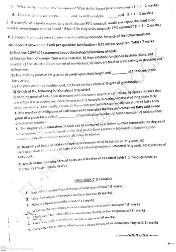 BCH313(1) 2.jpg