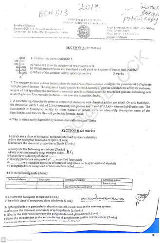 BCH313(1) 8.jpg