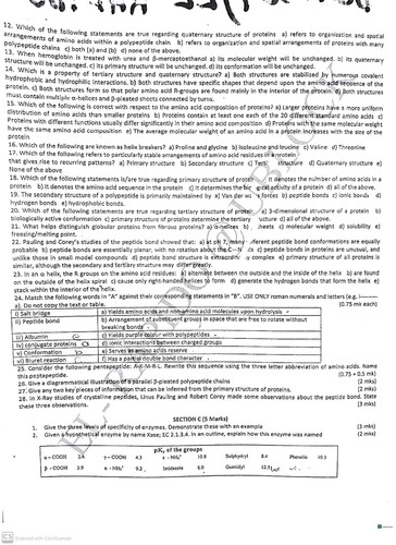 BCH301 13.jpg