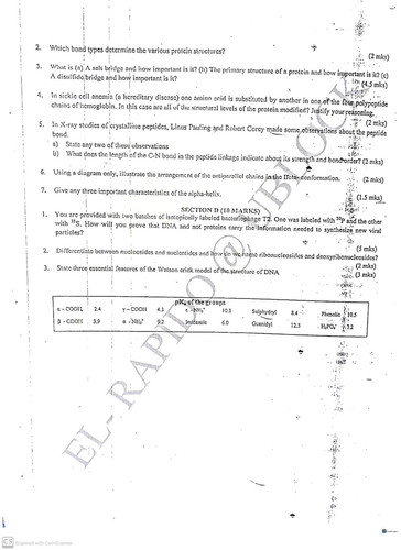 BCH301(1) 26.jpg