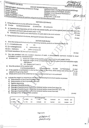 BCH301(1) 31.jpg