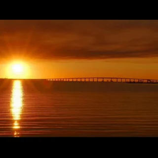 1738596698 135699149.webp