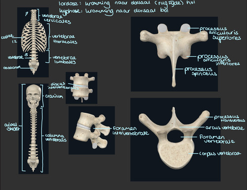 a9e2b027aeed.jpg