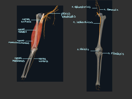 62bd64116a53.jpg