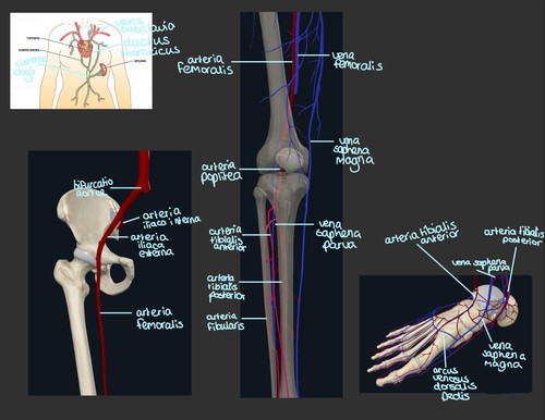 a553172ed264.jpg
