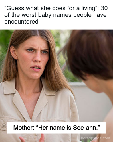 710bb038 e540 4b7c 8fd8 8a486514df32.png