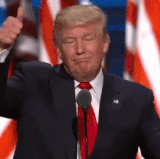 giphy 2326648484.gif