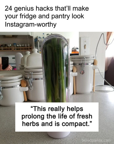 new fridge and pantry finds.jpg