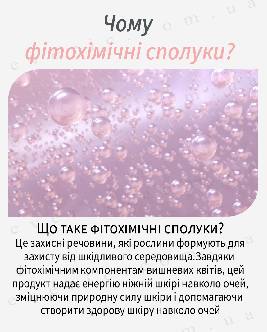 5 копия