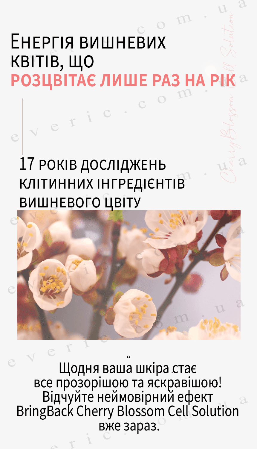 2 копия