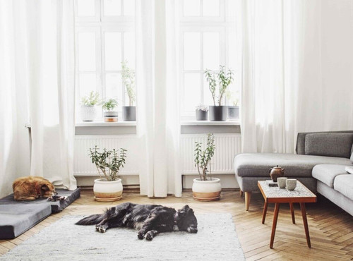Transform Your Home with Custom Drapes & Curtains from Bravo Blinds.jpg