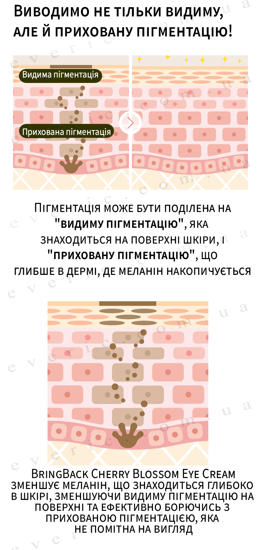 6 копия