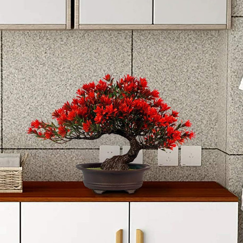 71PKAiP8M0L. AC SL1000 .jpg