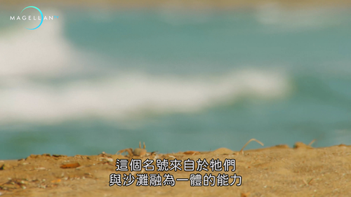 Wildest.Middle.East.S01E01.2014.2160p.Hami.WEB DL.H264.AAC HHWEB.mkv 20250205 222642.098.png