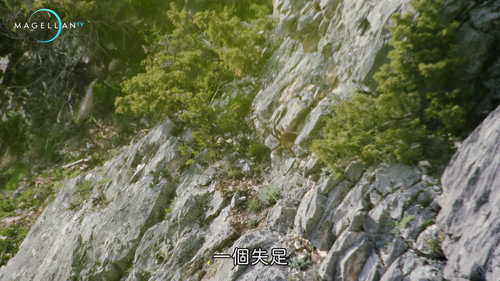 Wildest.Middle.East.S01E01.2014.2160p.Hami.WEB DL.H264.AAC HHWEB.mkv 20250205 222633.682.png