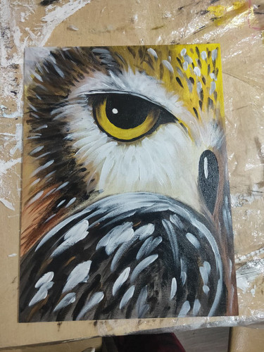 1738613451 1855085678.jpg