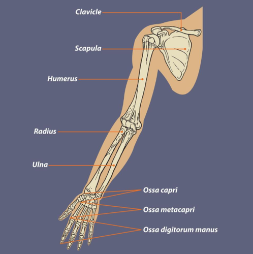 268d2c810285.png