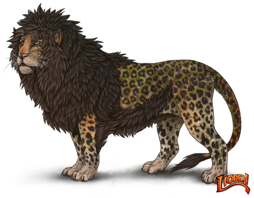 lioden wardrobe (1).png