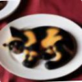 226b9109a20a.png