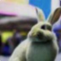 d3a42f5f9d54.png